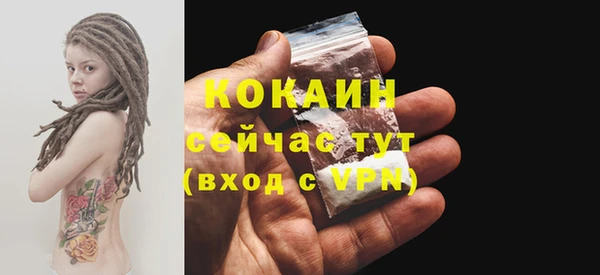 твердый Карпинск