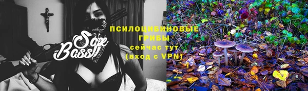 твердый Карпинск