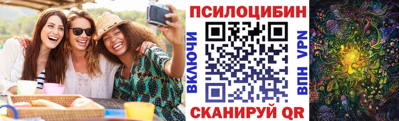 Псилоцибиновые грибы Psilocybe Кувшиново