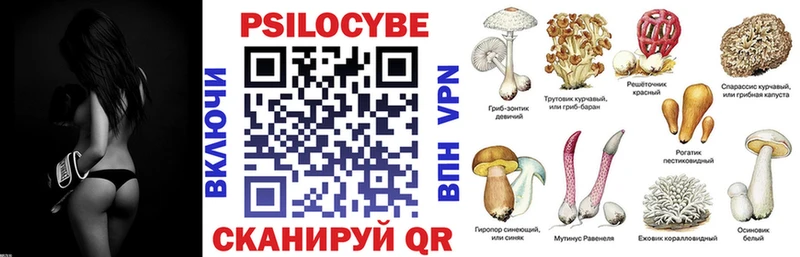 Купить  Кувшиново  Псилоцибиновые грибы MAGIC MUSHROOMS 