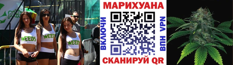 Купить где  Кувшиново  Канабис планчик 